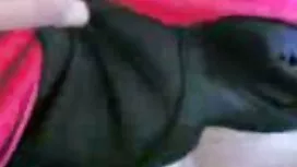 الهواة, الحمار افلام ...