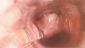 قطاع افلام رومنسيه و ...
