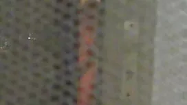 الكبار فتاة الأصدقاء ...