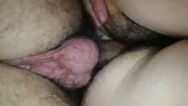 المطرقة السنونو افلا ...