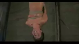 نجوم الاباحية آري عل ...