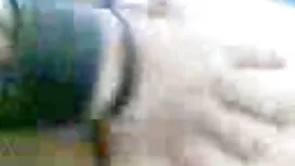 نادية المجر في فندق  ...